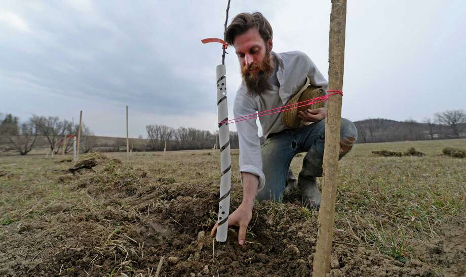 Intentions rooted in tradition Times Union