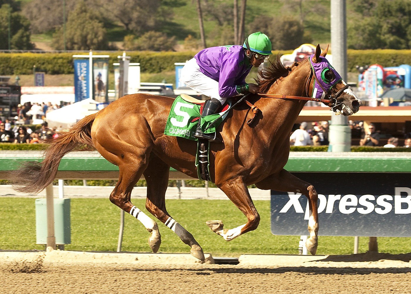 To trainer, Kentucky Derby favorite California Chrome a rock star