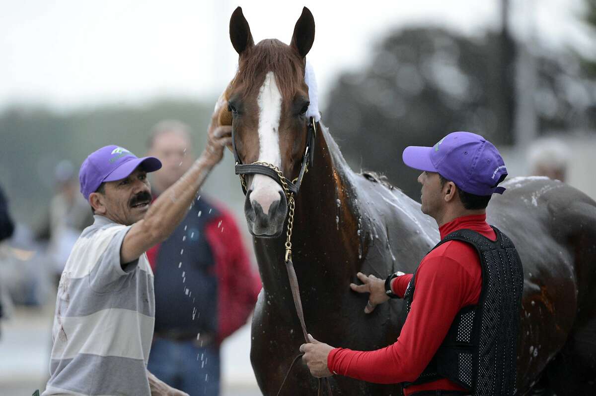 To trainer, Kentucky Derby favorite California Chrome a rock star