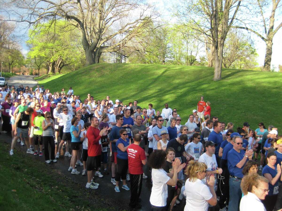 Domestic abuse focus of Albany County Bar Association run