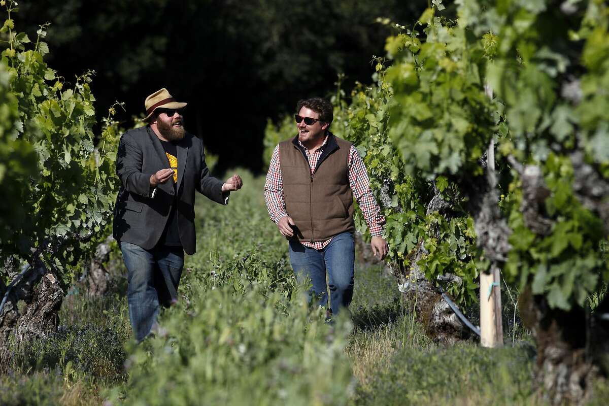 Chris Cottrell, left and Morgan Twain-Peterson, walk through the120 year old Zinfandel vines, Wednesday April 23, 2014, in Glen Ellen, Calif.