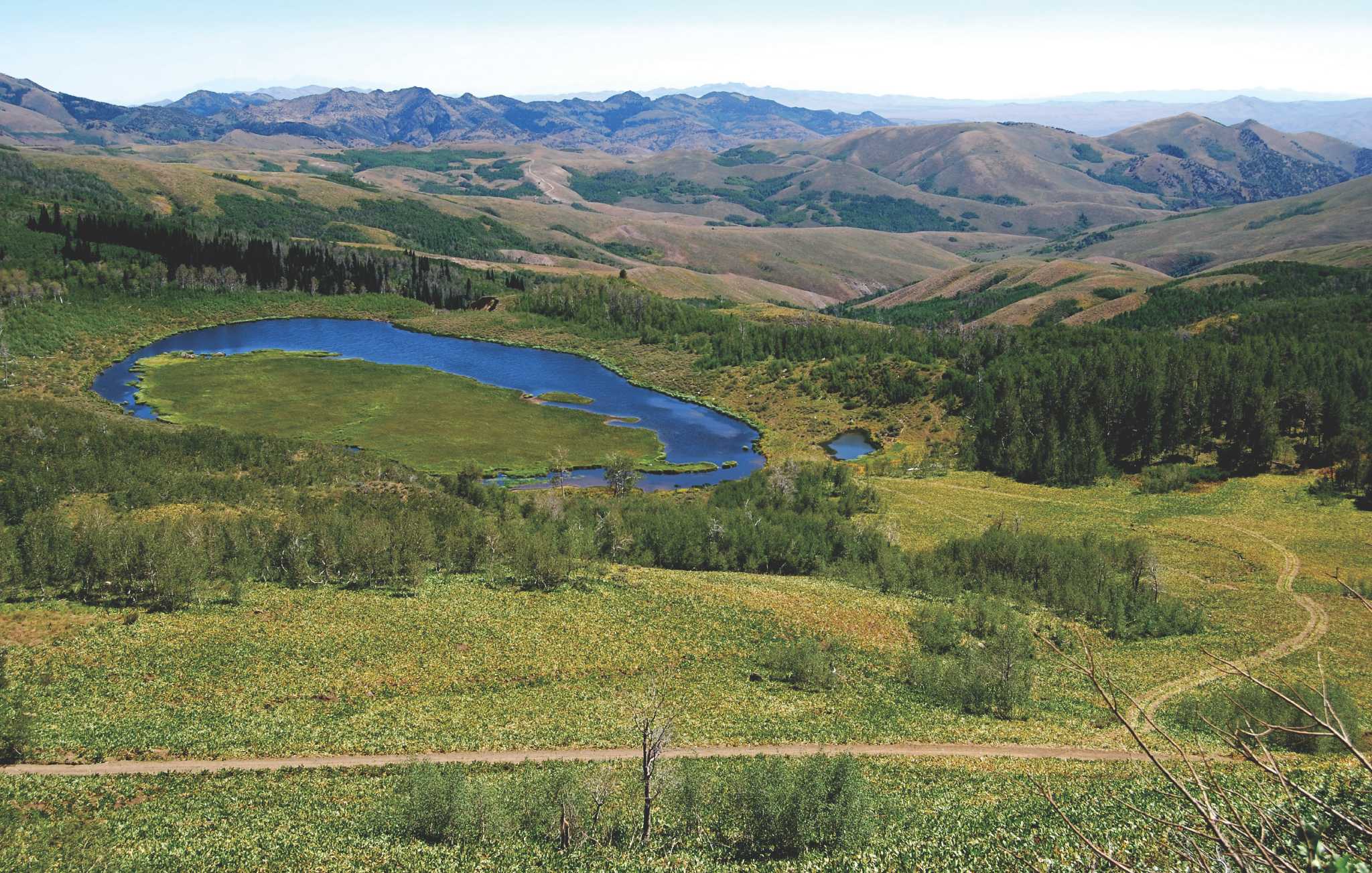 The lonesome legend of Jarbidge