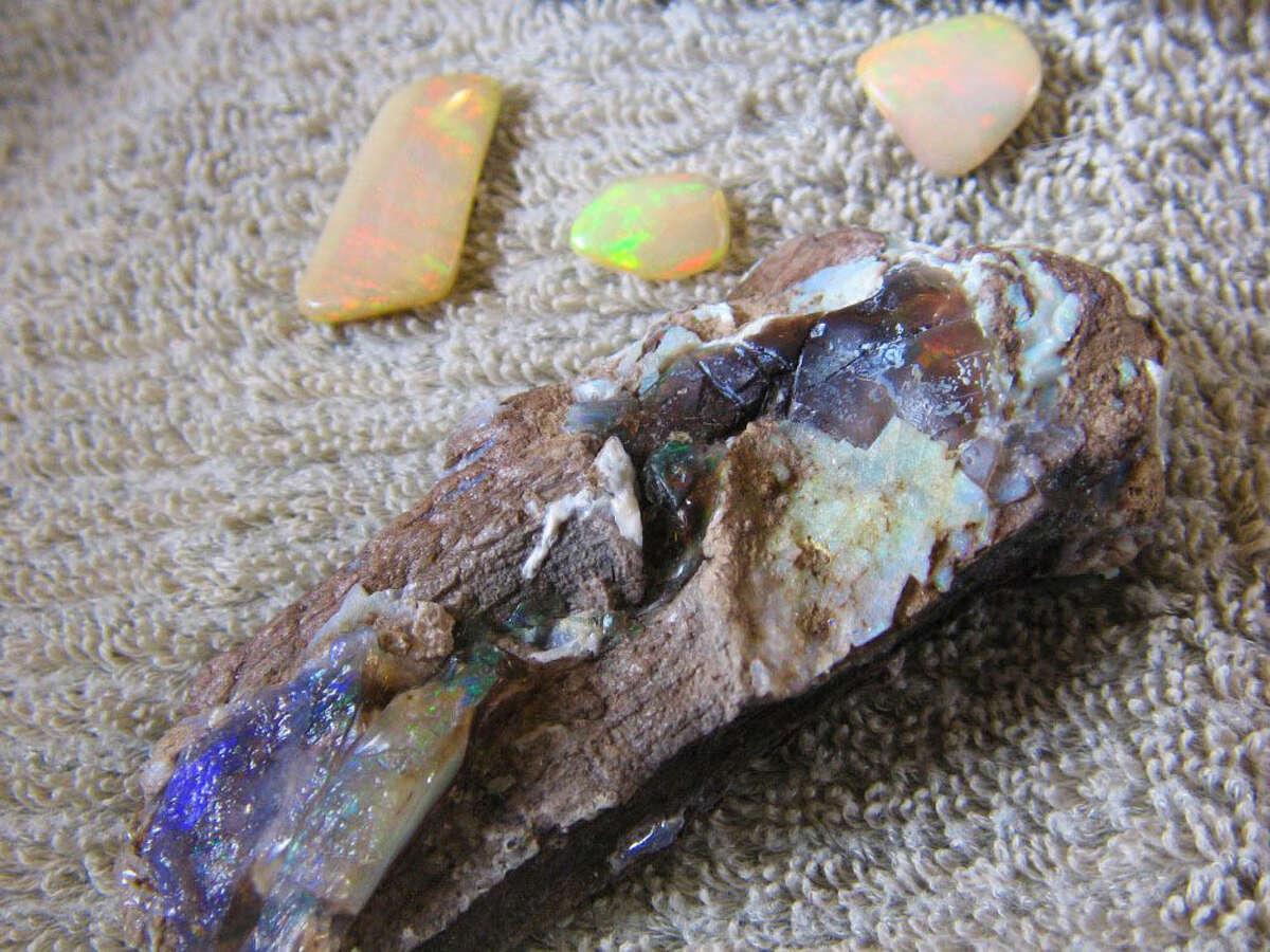 Search for opals in northern Nevada’s Virgin Valley