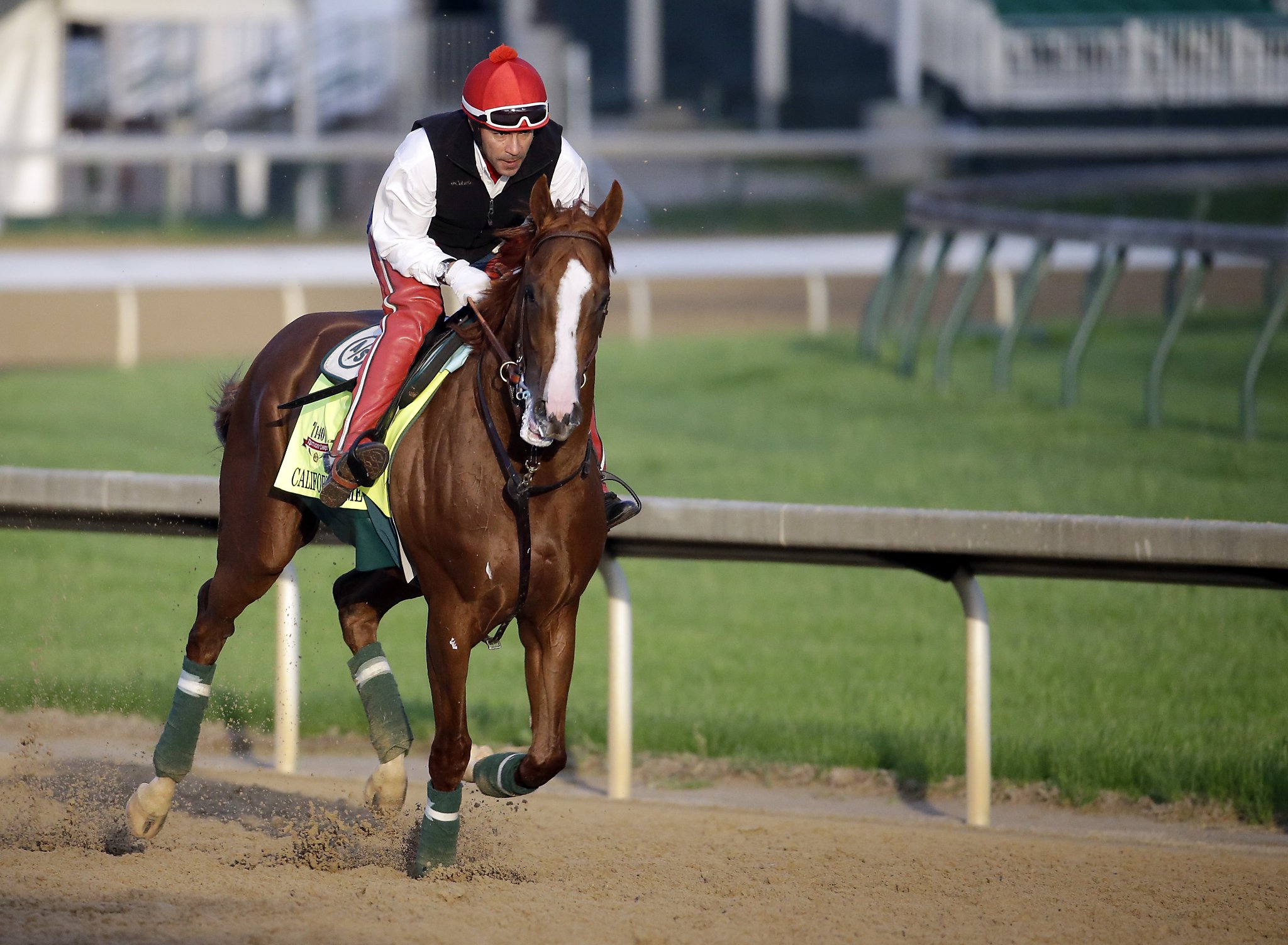 California Chrome receives handicapper's vote