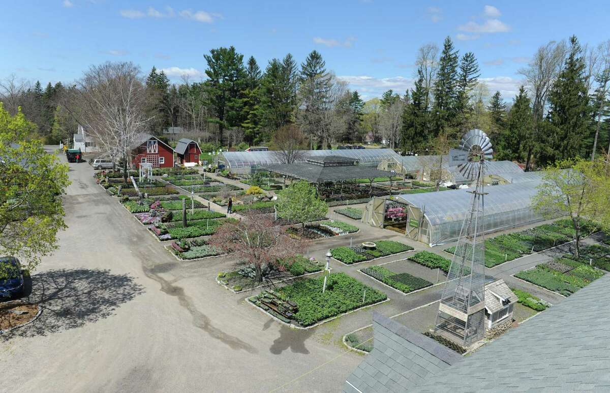 Hollandia celebrates 50 years of gardening