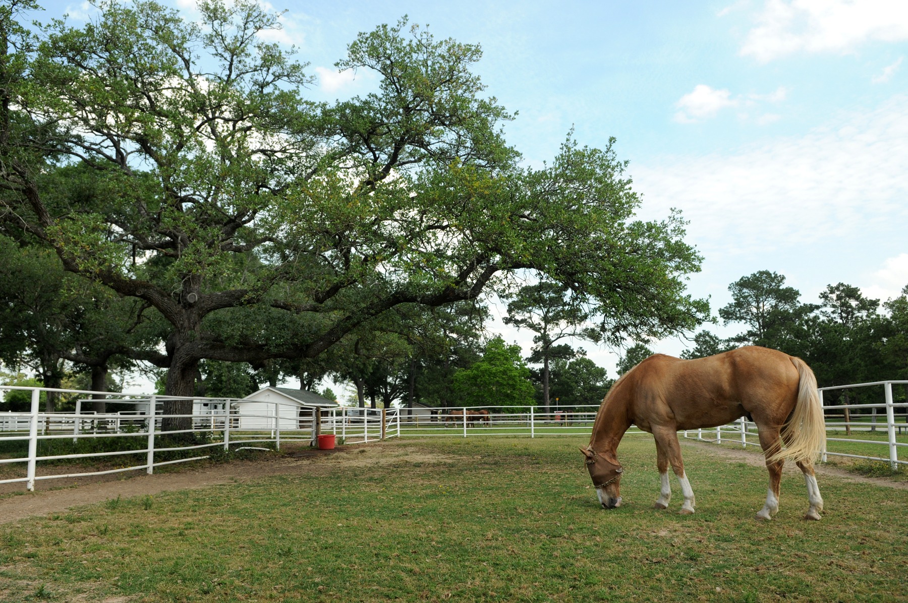 Gleannloch Farms to grow with parkway