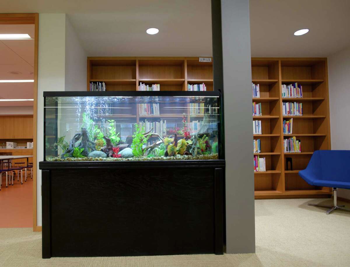 Ridgefield turns the page on a new library