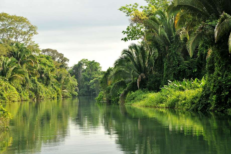 belizethe lush banks of the rio grande river en route to the