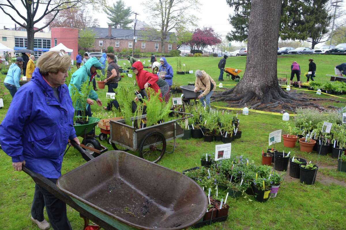 A flowering of spring Westport Garden Club's plant sale flourishes