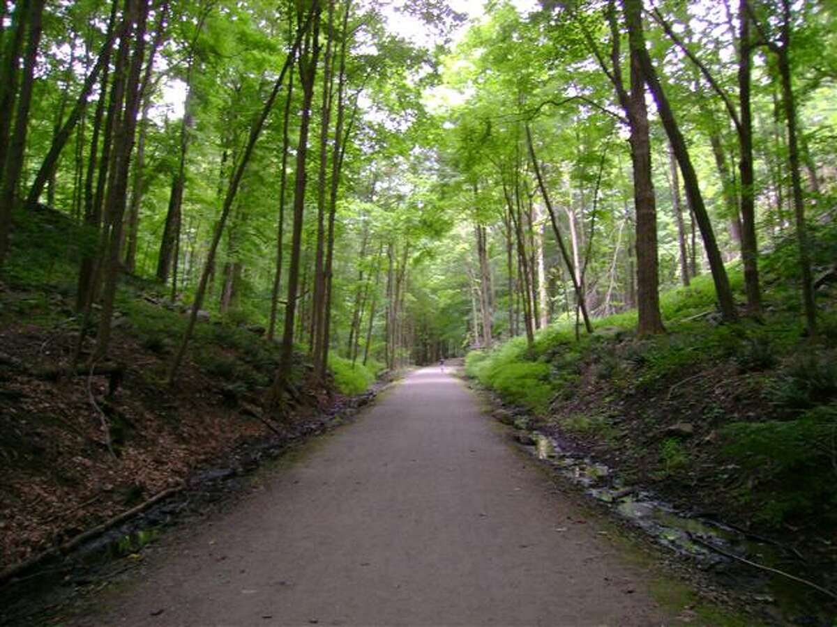 Second dog park to open in Danbury