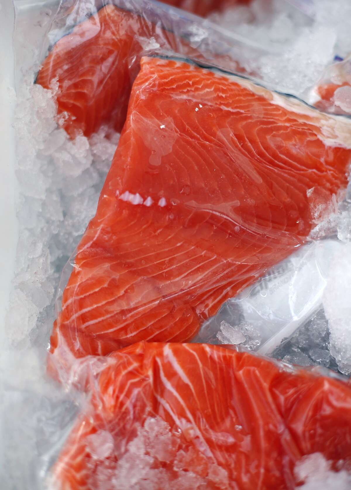 Palo Alto farmers' market hottest spot in the valley