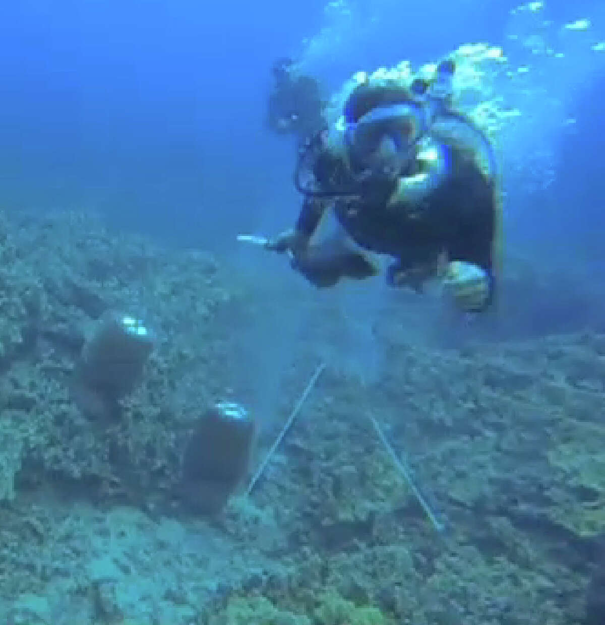 A scuba diver swims toward activist Rene Umberger moments before ripping her air supply regulator out of her mouth in this still frame made near Kona, Hawaii, from a video released by Umberger.