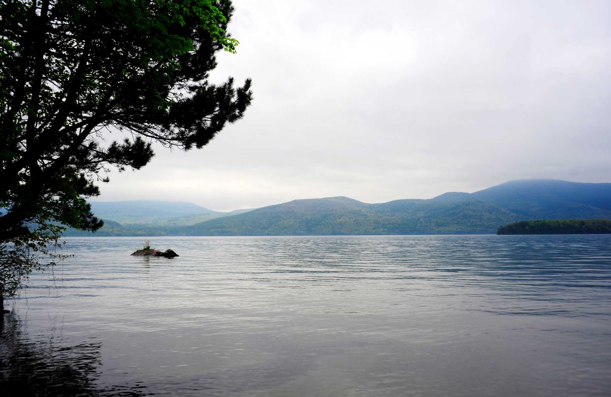 Plan to test herbicide on Lake George Eurasian milfoil draws controversy - Vimarsana News