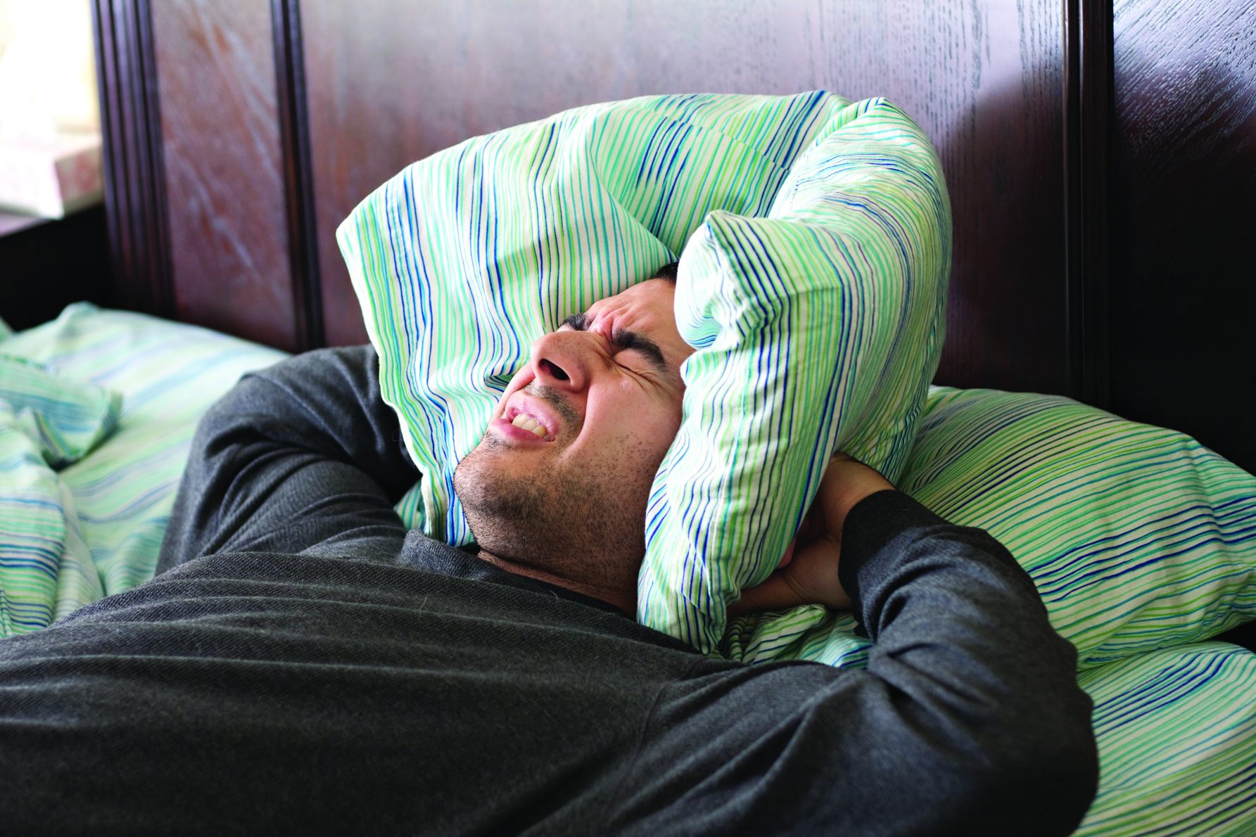 ���� ������� ������ ����