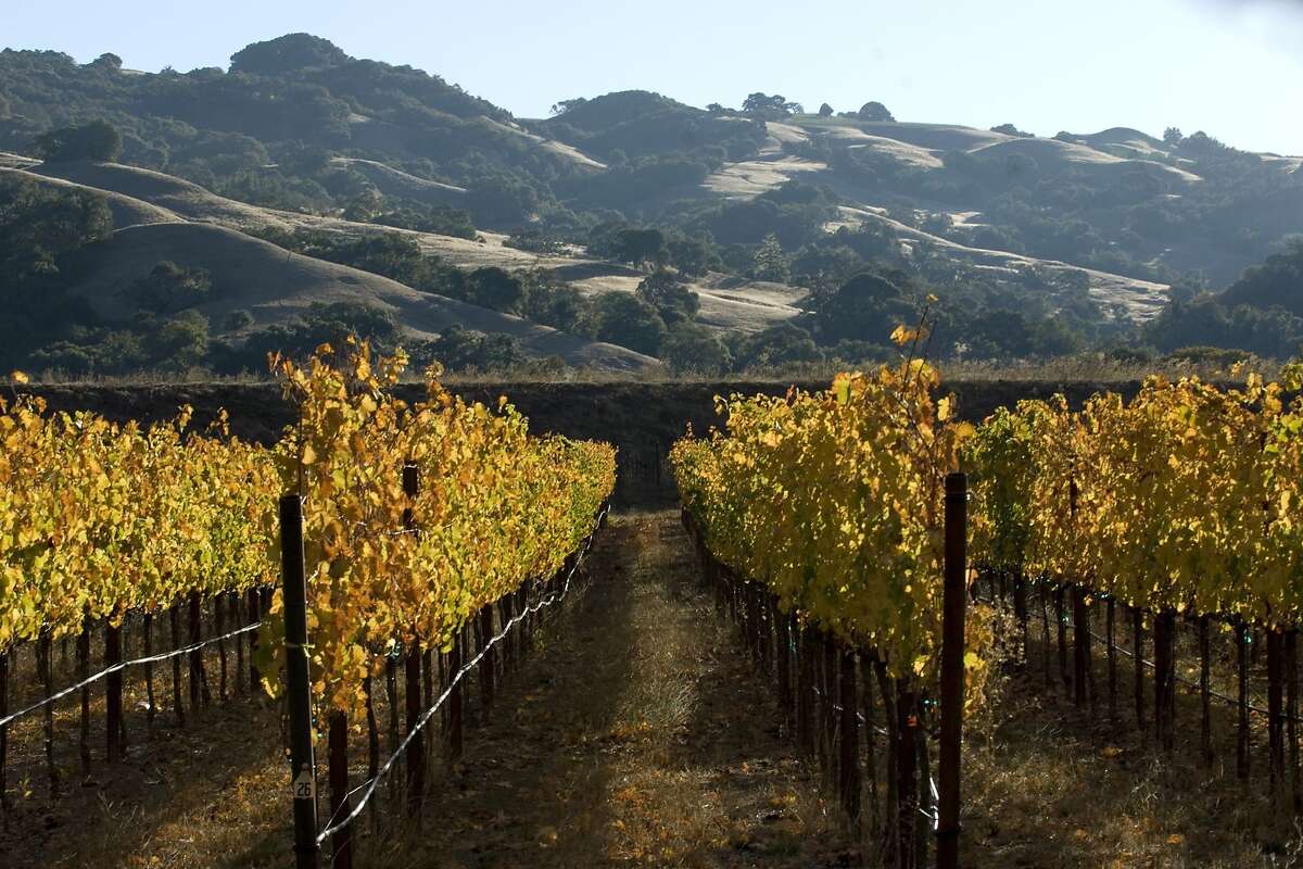 Anderson Valley growing as destination for wine and cheese