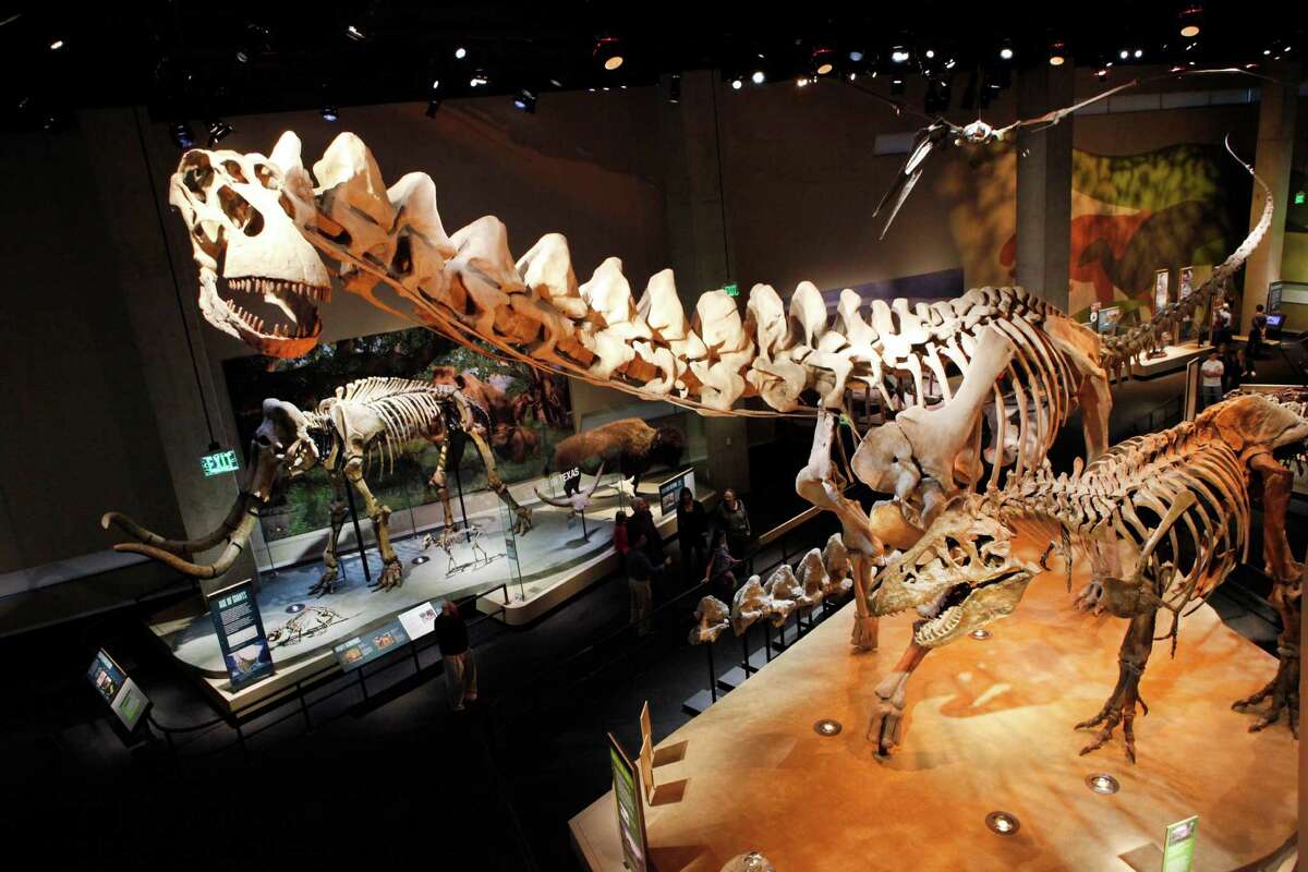âThe Worldâs Largest Dinosaursâ complements the Perot Museumâs permanent collection of âbiological marvelsâ in the T. Boone Pickens Life Then and Now Hall, pictured. The museum's largest skeleton is Alamosaurus.