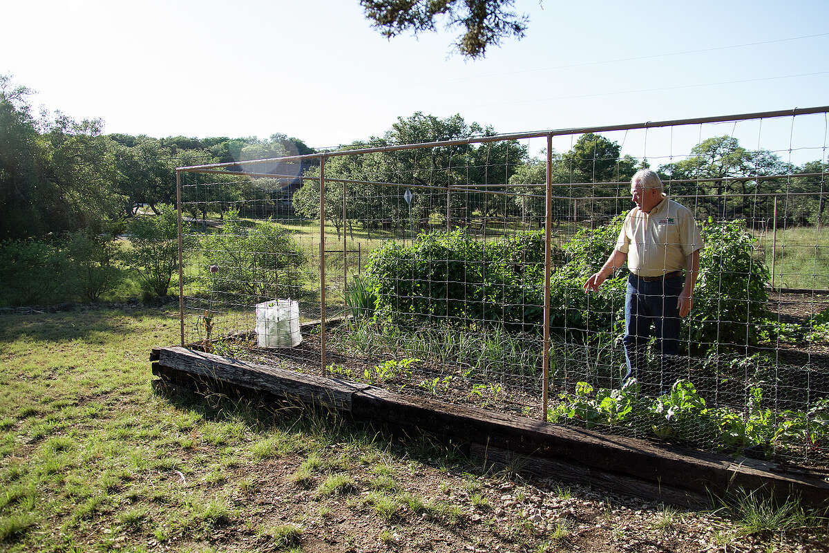 Gardening with deer