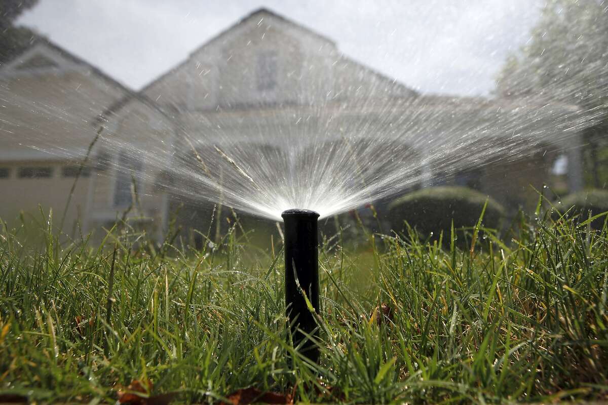 Sprinklers water a residential yard in the middle of the day in Pleasanton, CA, Friday May 16, 2014. The city of Pleasanton has made it mandatory for it's residents to comply with a 25 percent reduction in water usage to help combat persisting drought conditions.