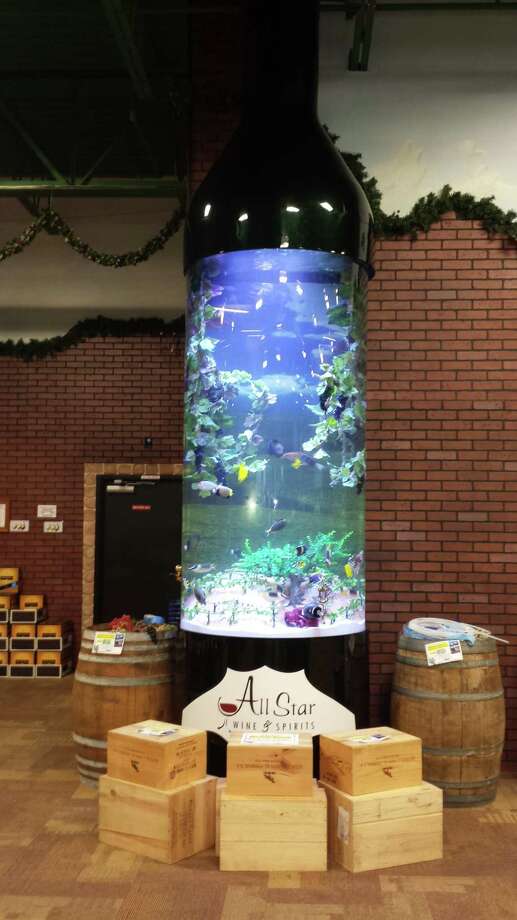 Low survival rate for 'Tanked' fish Times Union