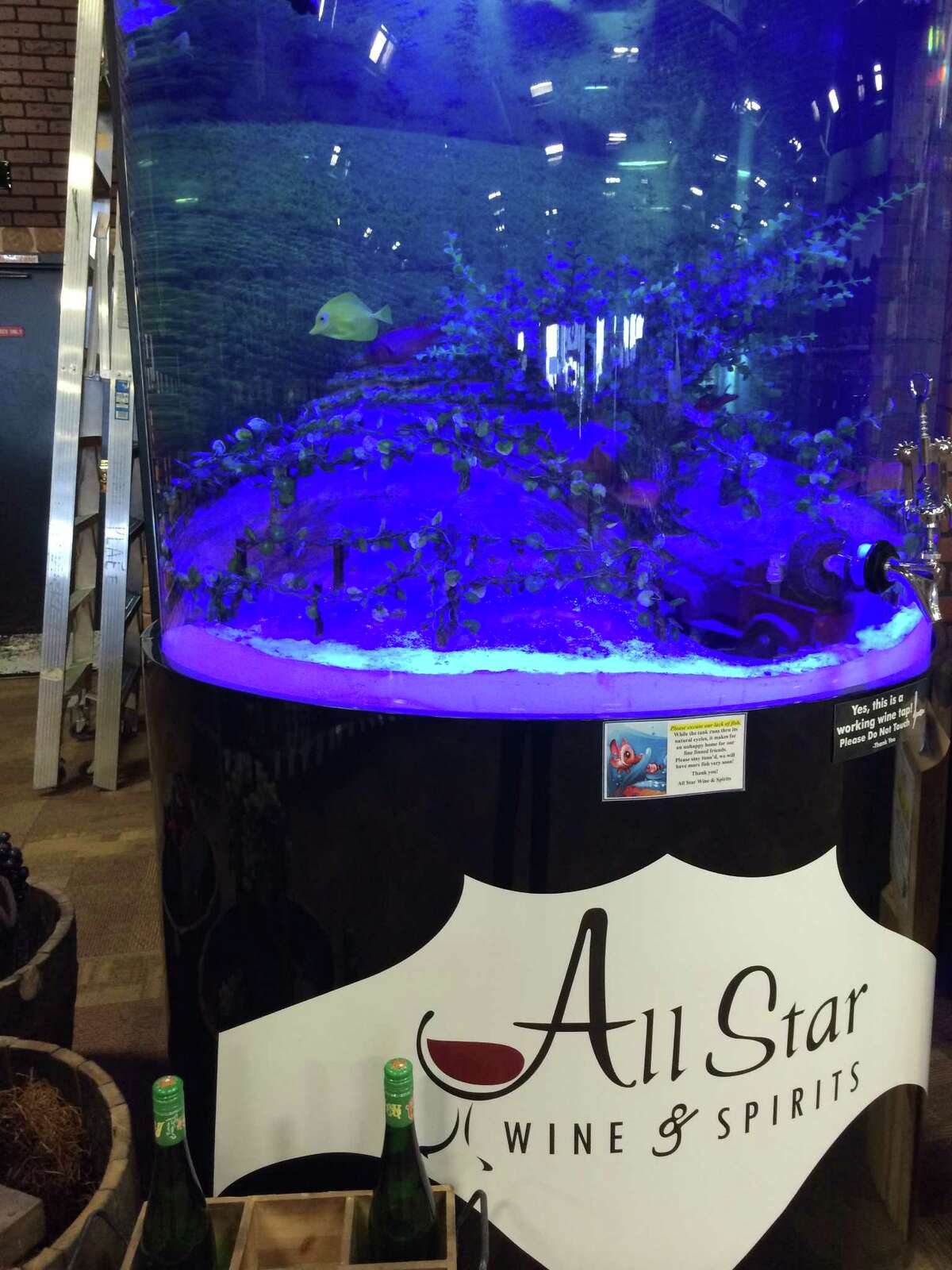 Low survival rate for 'Tanked' fish