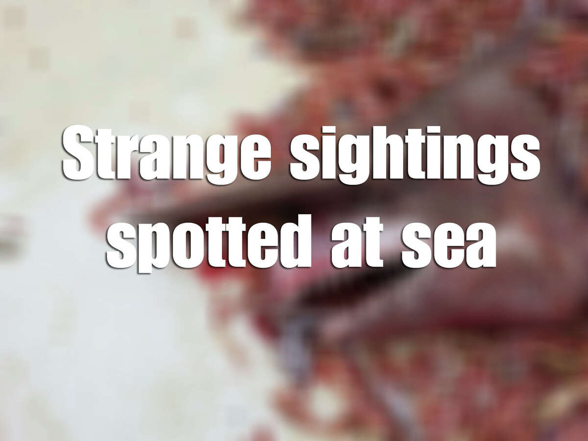 See some of the stranger stories that recently took place offshore.