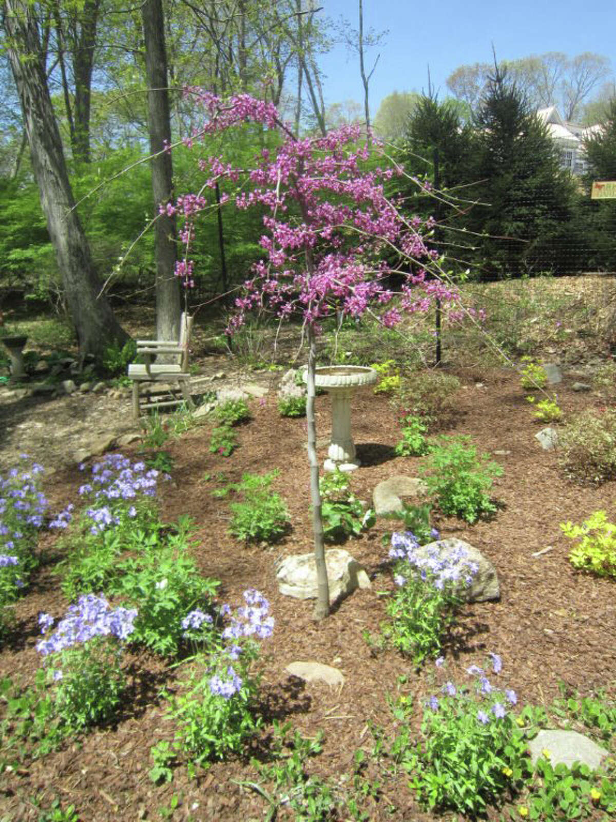 NCBL dedicates Joan Sargent's garden