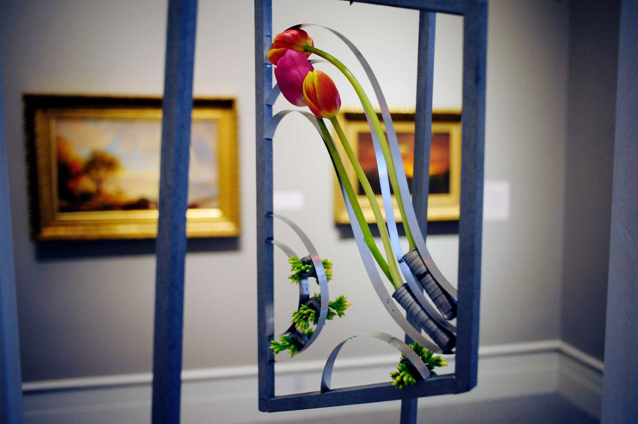 Photos Flower show at Albany Institute