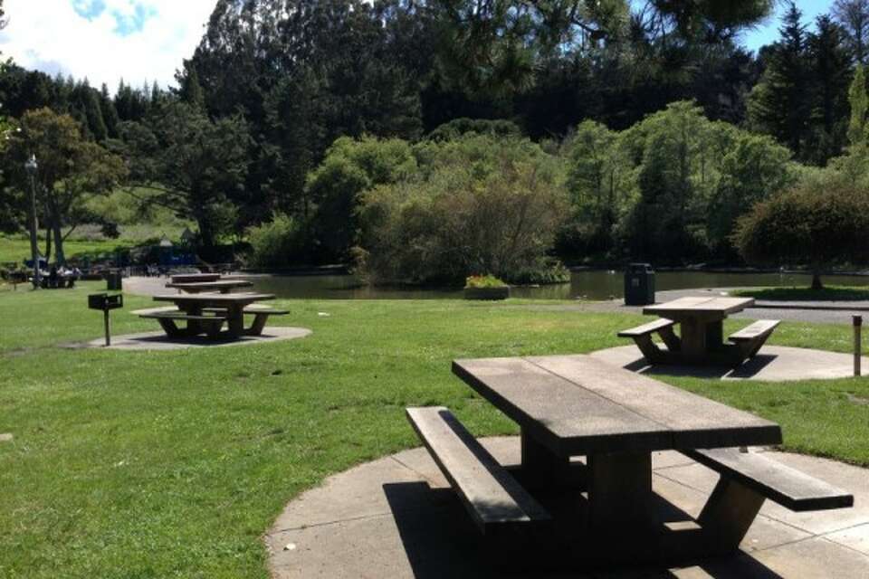 The best places to picnic in San Francisco