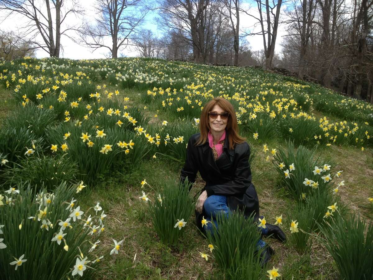 Judy Sanders, was photographed this spring by her sister amid a field of daffodils in the Berkshires.