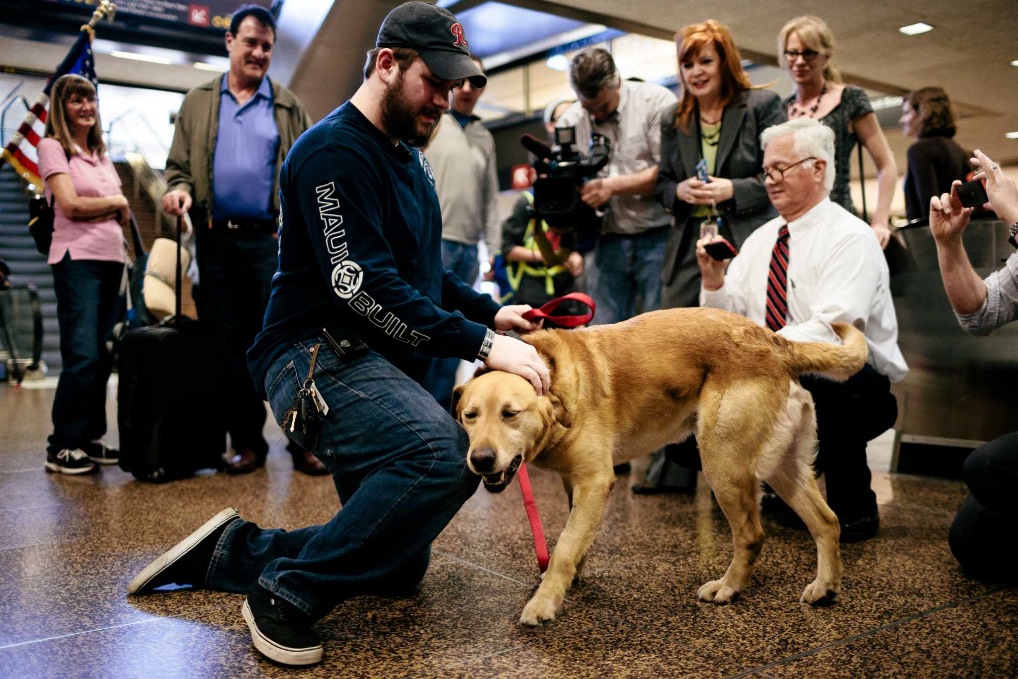 Marine and bomb-detecting dog reunited at Sea-Tac