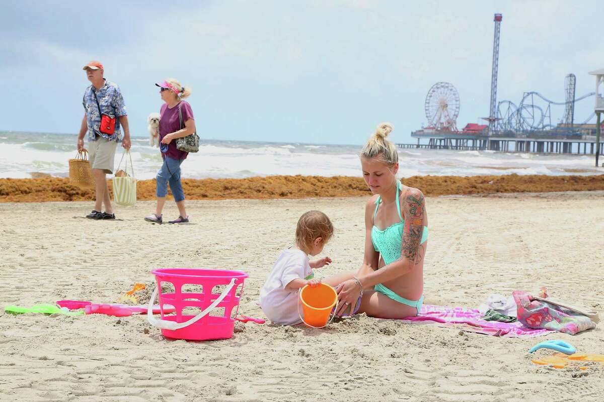 Katelyn Lowery right, and her 23 month-old daughter Johnsie Lowery 2nd from right, play in the sand as mounds of seaweed build up on the beach near 21st street Thursday, May 22, 2014, in Galveston.