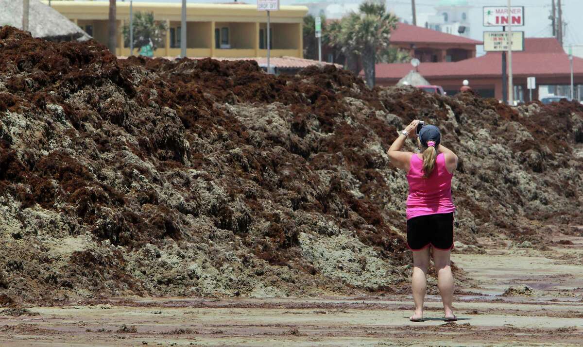 Tourists grumble as beach seaweed clean-up continues