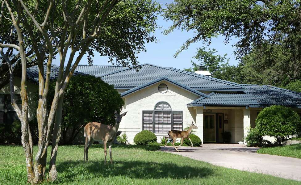 Spaces: A home planned around pottery