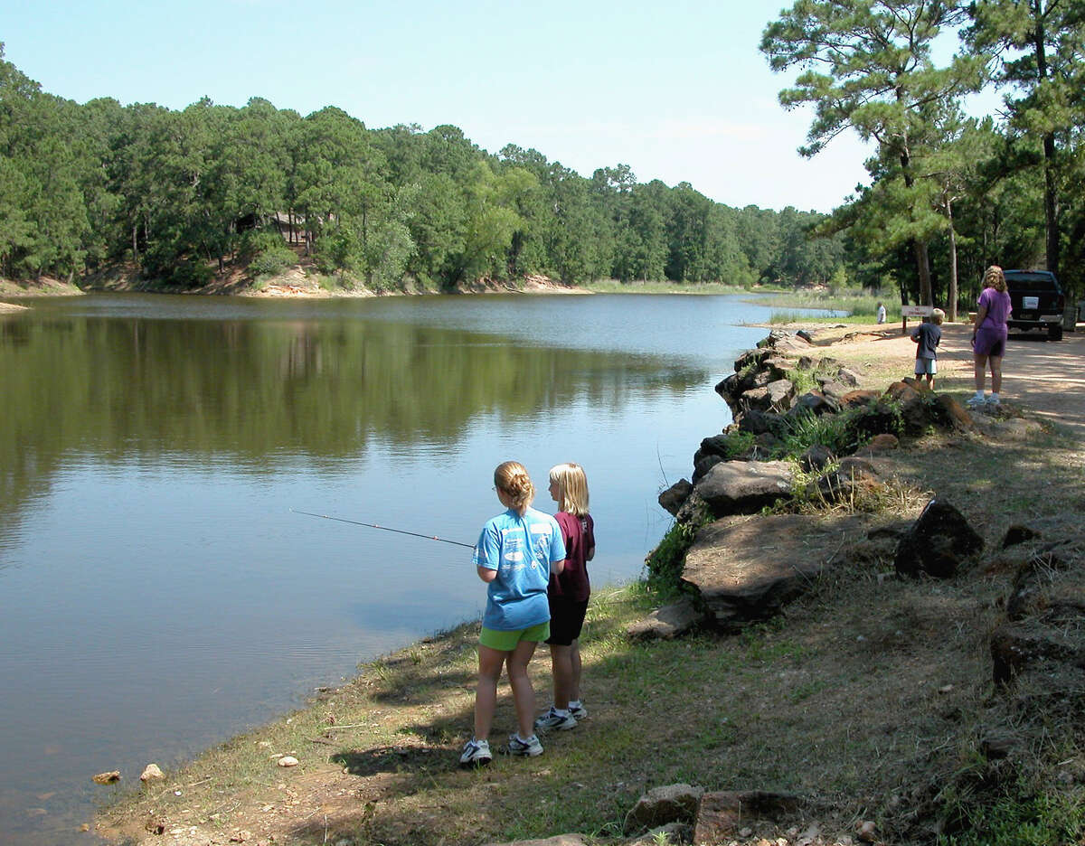 BASTROP (freshwater): FAIR. Clear to slightly stained; 84–88 degrees; 0.80' low. Largemouth bass are good on Texas rigged plastic worms and Carolina rigs and you will find them on edges of vegetation and creek beds with sharp drop offs. Crappie are fair on jigs and live bait. Channel and blue catfish are fair on stinkbait or cutbait, and flathead catfish are fair on live bait. Creek channels and near the plant seem to be the best spots