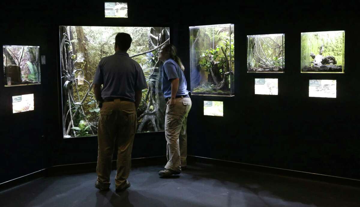 Employees at the Houston Zoo get their first look at “The Bug House,” which opened this weekend.