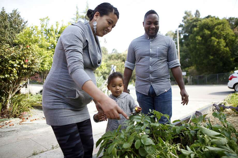 Bryant Terry cultivates new turf with frontyard edible lawn SFGate
