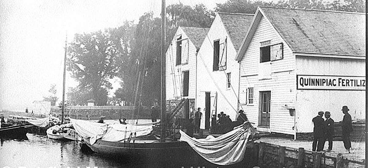 Southport warehouses and ships were central to the onion market in the late 1800s. Boats are docked in front of Meekerís onion docks and warehouses on Southport Harbor waiting to be loaded in this photo taken in about 1890. Courtesty: Fairfield Museum and History Center