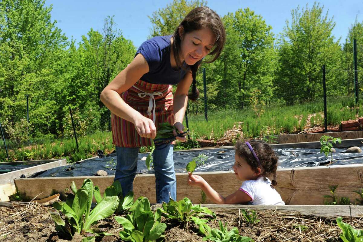Ellie Markovitch, left, picks greens from her garden with her daughter Lara, 4, on Wednesday, May 21, 2014, at their home in Brunswick, N.Y. (Cindy Schultz / Times Union)