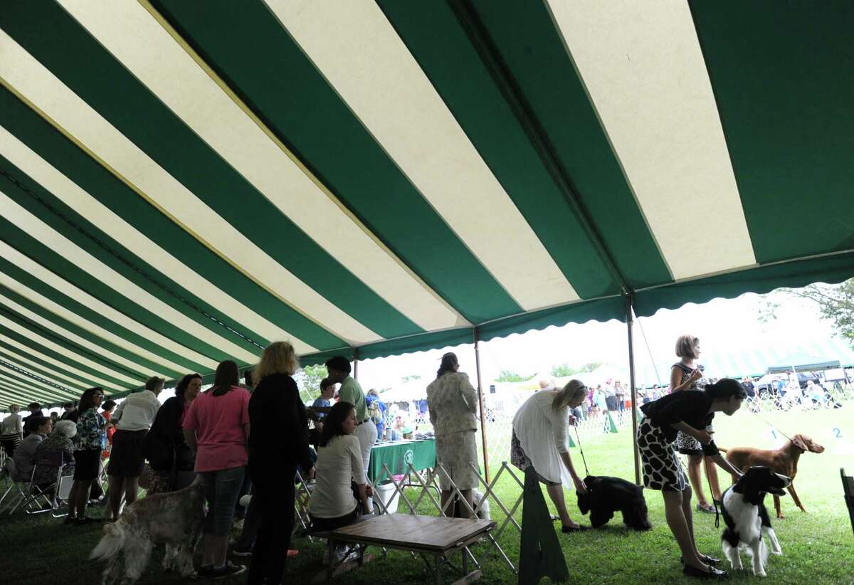 Greenwich Kennel Club plans for a day for the dogs