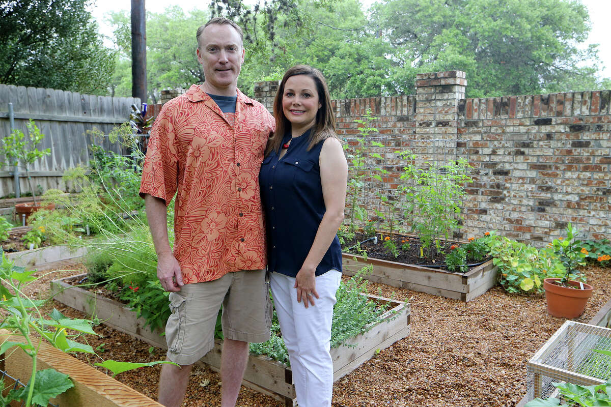 Stephanie and Todd Lanier in their back yard garden on Sunday, May 25, 2014. MARVIN PFEIFFER/ mpfeiffer@express-news.net