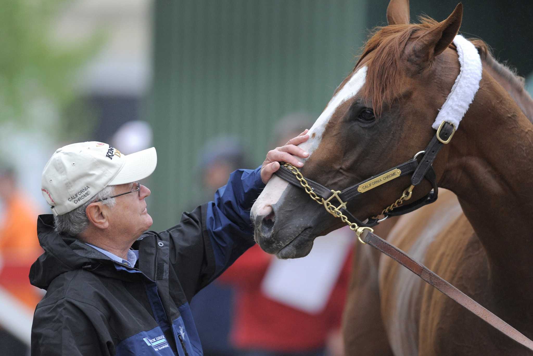 California Chrome becomes America's horse