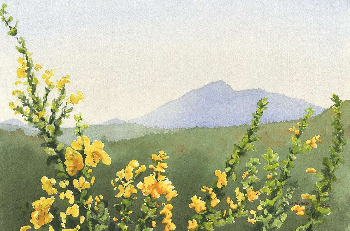 “Mount Tamalpais # 9” by Larry Hatfield. Photo courtesy of the artist. Watercolor. Painted April 3, 2014 Mount Tamalpais view from a trail near Point San Pedro Rd. , San Rafael, CA 22x15" Watercolor on Saunders rough paper