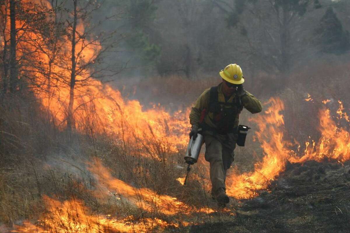 A firefighter at a controlled burn works on fire suppression techniques.