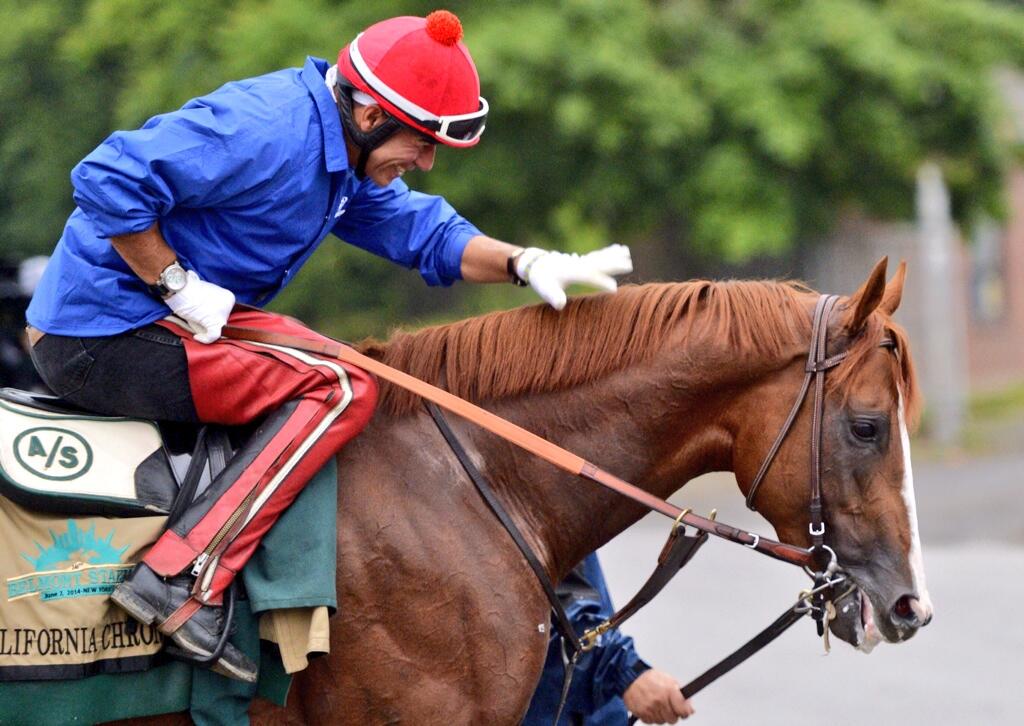 Calif Brown Racer Photos: California Chrome