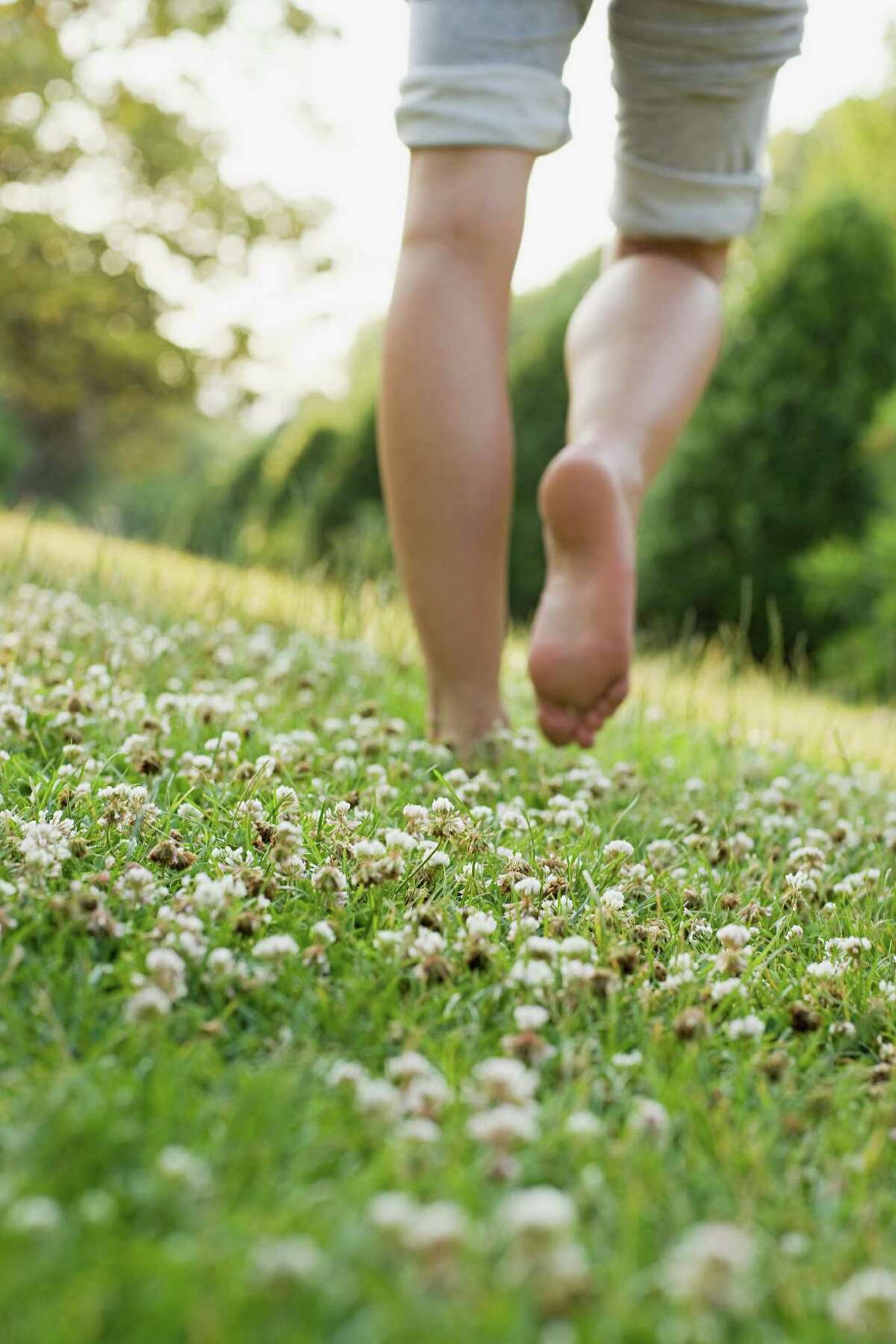 Green walk. Nice walk.