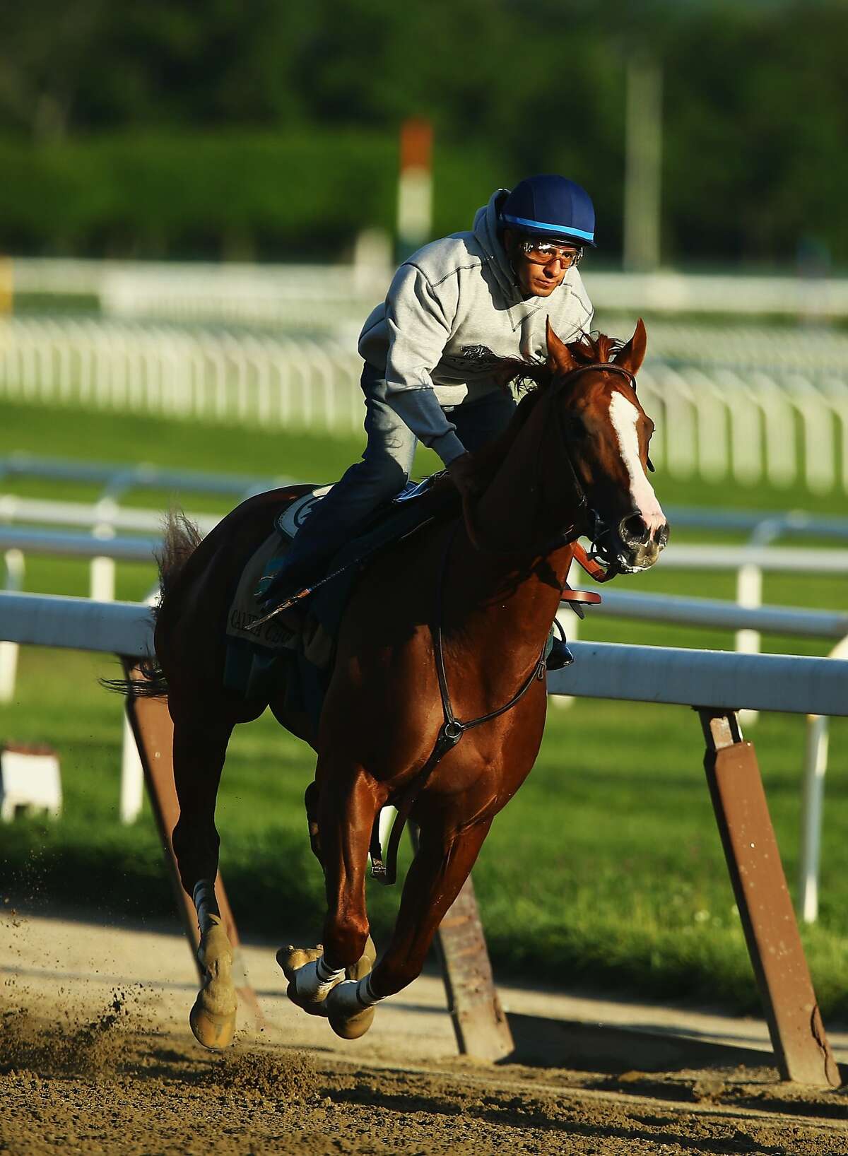 ELMONT, NY - MAY 31: Kentucky Derby and Preakness winner California Chrome with Jockey Victor Espinoza up trains at Belmont Park on May 31, 2014 in Elmont, New York. He is scheduled to race for the Triple Crown in the 146th running of the Belmont Stakes (Photo by Al Bello/Getty Images)