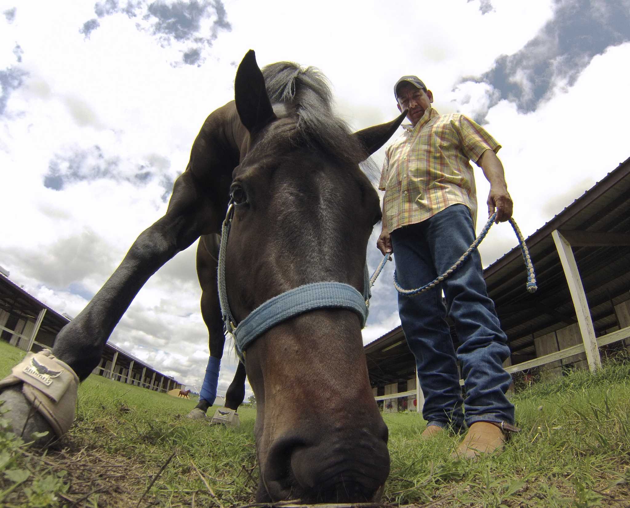Stockdale quarter horse trainer hitting his stride