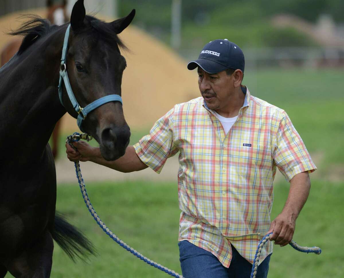 Stockdale quarter horse trainer hitting his stride