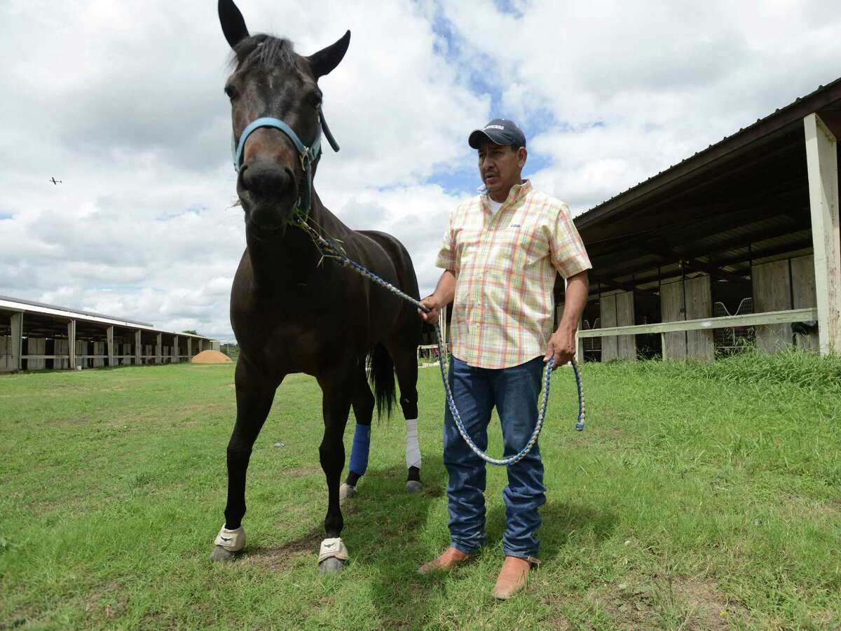 Stockdale quarter horse trainer hitting his stride
