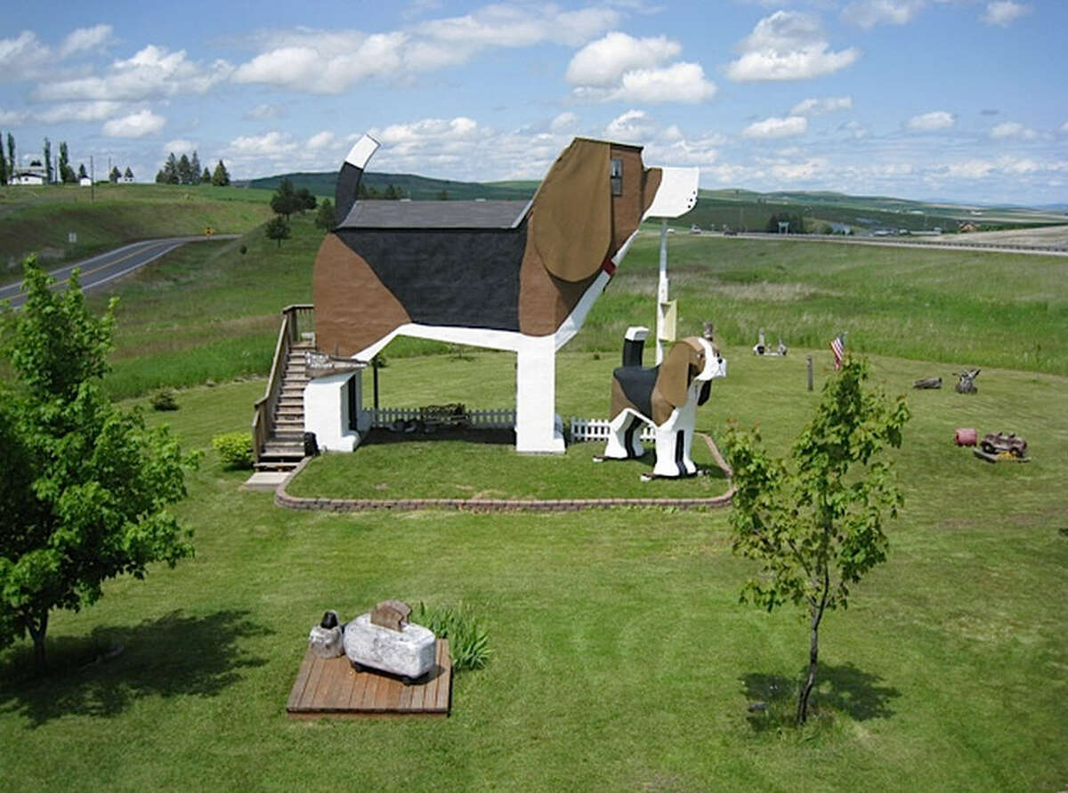 Dog bark park inn презентация